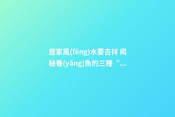 居家風(fēng)水要吉祥 揭秘養(yǎng)魚的三種“催財(cái)大法”